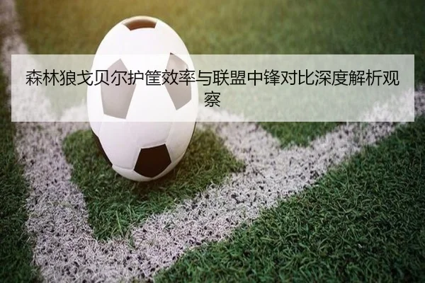 森林狼戈贝尔护筐效率与联盟中锋对比深度解析观察