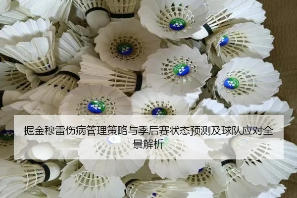 掘金穆雷伤病管理策略与季后赛状态预测及球队应对全景解析